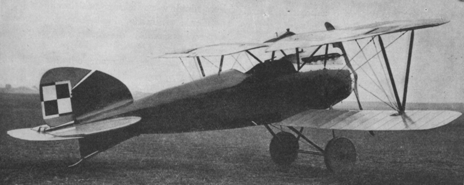 26 lipca 1920 r. Krowa z perspektywy ważki, czyli pierwszy lot aeroplanem