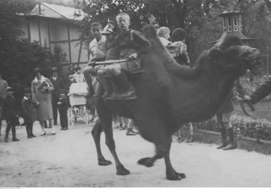 14 września 1920 r. Lenin i Trocki w poznańskim zoo